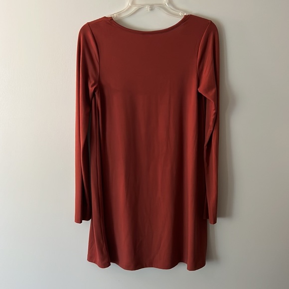 Terracotta Swing Dress - Picture 3 of 4